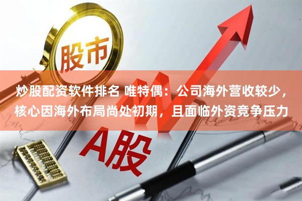 炒股配资软件排名 唯特偶：公司海外营收较少，核心因海外布局尚处初期，且面临外资竞争压力